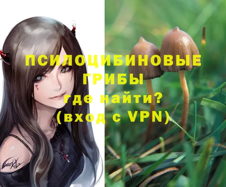 Псилоцибиновые грибы Magic Shrooms  Краснозаводск 